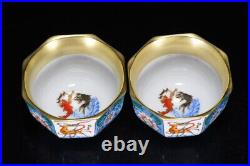 A Pair Chinese Pastel Porcelain Gilded HandPainted Beast Pattern Bowls 18621