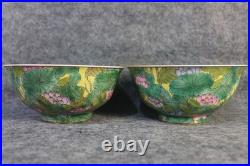 A Pair Chinese Pastel Porcelain Gilded Hand Painted Lotus Pattern Bowls 8565
