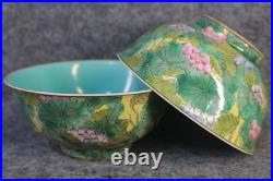 A Pair Chinese Pastel Porcelain Gilded Hand Painted Lotus Pattern Bowls 8565