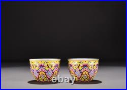 A Pair Chinese Pastel Porcelain Hand Painted Ruyi Pattern Gilded Cup 16061