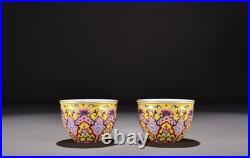 A Pair Chinese Pastel Porcelain Hand Painted Ruyi Pattern Gilded Cup 16061