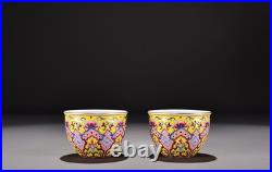 A Pair Chinese Pastel Porcelain Hand Painted Ruyi Pattern Gilded Cup 16061