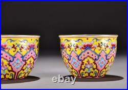 A Pair Chinese Pastel Porcelain Hand Painted Ruyi Pattern Gilded Cup 16061