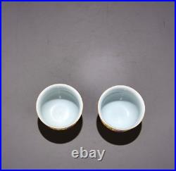A Pair Chinese Pastel Porcelain Hand Painted Ruyi Pattern Gilded Cup 16061