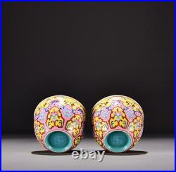 A Pair Chinese Pastel Porcelain Hand Painted Ruyi Pattern Gilded Cup 16061