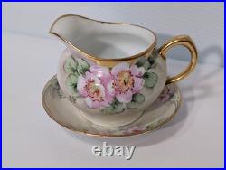 Antique Emily Chase Hand Painted China Floral Tea Set, Bavaria, Limoges, Gold