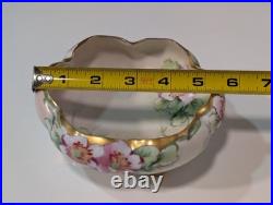 Antique Emily Chase Hand Painted China Floral Tea Set, Bavaria, Limoges, Gold