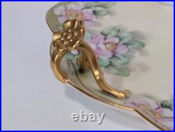 Antique Emily Chase Hand Painted China Floral Tea Set, Bavaria, Limoges, Gold