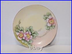 Antique Emily Chase Hand Painted China Floral Tea Set, Bavaria, Limoges, Gold