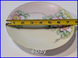 Antique Emily Chase Hand Painted China Floral Tea Set, Bavaria, Limoges, Gold