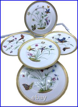 Antique Fine Eggshell Aesthetic Butterfly Hummingbird Flora Plate Gold Set 5