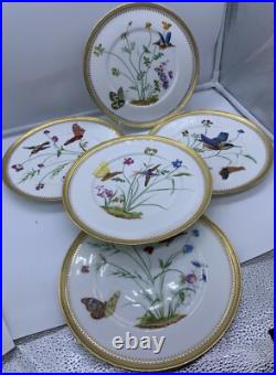 Antique Fine Eggshell Aesthetic Butterfly Hummingbird Flora Plate Gold Set 5
