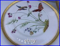 Antique Fine Eggshell Aesthetic Butterfly Hummingbird Flora Plate Gold Set 5