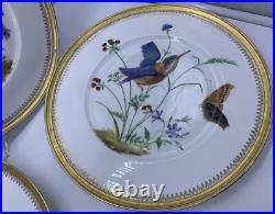 Antique Fine Eggshell Aesthetic Butterfly Hummingbird Flora Plate Gold Set 5