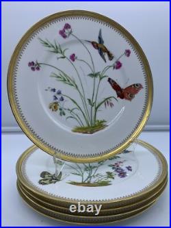Antique Fine Eggshell Aesthetic Butterfly Hummingbird Flora Plate Gold Set 5