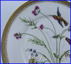 Antique Fine Eggshell Aesthetic Butterfly Hummingbird Flora Plate Gold Set 5