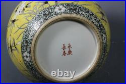 Beautiful Chinese famille rose porcelain gilded vase