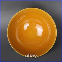 Chinese Handmade Painting Yellow Glaze Porcelain Dragon Bowl