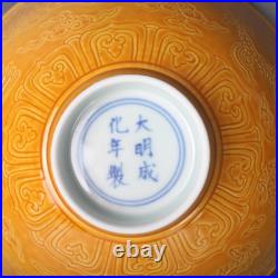 Chinese Handmade Painting Yellow Glaze Porcelain Dragon Bowl