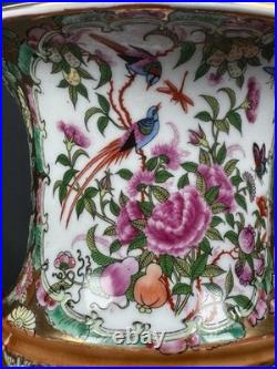 Chinese Porcelain Vase Urn Famille Rose Birds Floral Gold Gilt Phoenix