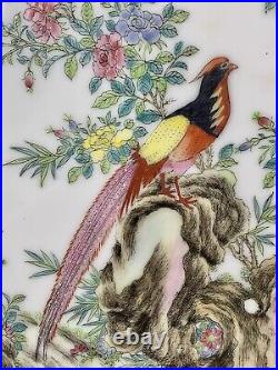 Chinese Republic Early 20th Famille Rose Plaque Painted Golden Pheasants
