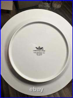 Christopher Stuart Ambassador White Gold Trim Fine China 47 Pc Dinner Set