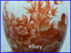 Collection Chinese Iron Red Porcelain Outline In Gold Vase