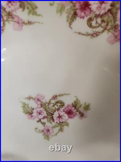 Elite Limoges Porcelain Florals Gold Border Covered Tureen & Under Platter