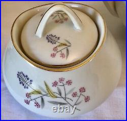 Fine Bohemian China Czechoslovakia Spring Pink Purple Flowers Gold Trim Tea Set