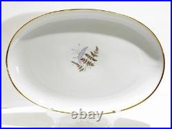 Fine China Service Set for 12 Gold Fern Hutschenreuther Bavaria Ferndale 75 Pcs
