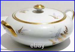 Fine China Service Set for 12 Gold Fern Hutschenreuther Bavaria Ferndale 75 Pcs