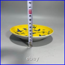 Fine Chinese Antique Art Hand Painting Yellow Glazed Porcelain Butterfly Plate