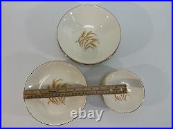 Golden Wheat Dishes Vintage 1950's 22 K Gold Set of 42 pieces NICE