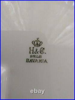 H & Co Bavaria Selb China Antique Caught Fish Tray Gold Edge Artist Signed 1913
