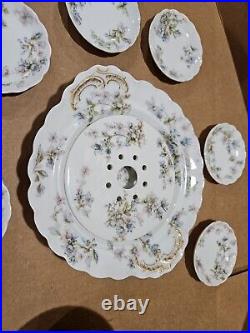 Haviland & Co. France limoges China Floral & Gold Butter set With 6 pats dishes