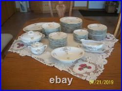Hutschenreuther Selb Vtg Porcelain China Rose Pattern Dinnerware 54 Pieces