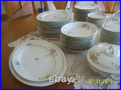 Hutschenreuther Selb Vtg Porcelain China Rose Pattern Dinnerware 54 Pieces