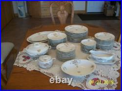 Hutschenreuther Selb Vtg Porcelain China Rose Pattern Dinnerware 54 Pieces