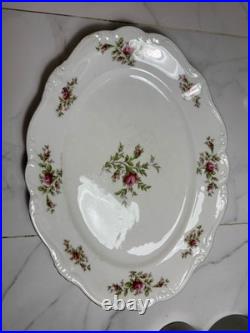 Johann Haviland Moss Rose Bavaria Germany 86pc China Set Plates Bowls Tea Platte