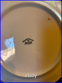 Johann Haviland Moss Rose Bavaria Germany 86pc China Set Plates Bowls Tea Platte