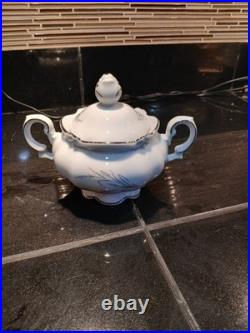 Kronester 55 Piece Service For 8 Settings Fine China