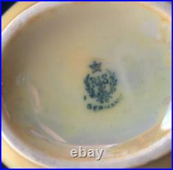 Lusterware Tea Set For 8(28pc) KPM Selesia c1904-27, RS Germany c1920-44 Antique