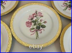 Macy's Vintage Royal Gallery China Gold Buffet Salad Plates Shells 6 NEW 8.5