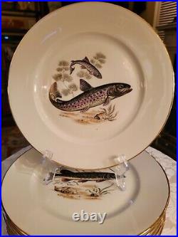 New, Set Of 6 Jks Fine Porcelain Handpainted 10 Fish Dinner Plates, Gilded Edge