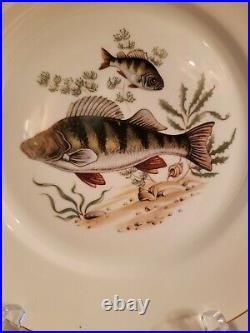 New, Set Of 6 Jks Fine Porcelain Handpainted 10 Fish Dinner Plates, Gilded Edge