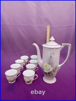 Noritake / NIPPON 9 piece CHOCOLATE SET Painted Roses Tea Pot Esquiste Noritake / NIPPON 9 piece CHOCOLATE SET Painted Roses Tea Pot Esquiste