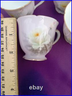 Noritake / NIPPON 9 piece CHOCOLATE SET Painted Roses Tea Pot Esquiste Noritake / NIPPON 9 piece CHOCOLATE SET Painted Roses Tea Pot Esquiste