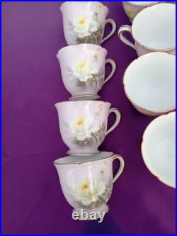 Noritake / NIPPON 9 piece CHOCOLATE SET Painted Roses Tea Pot Esquiste Noritake / NIPPON 9 piece CHOCOLATE SET Painted Roses Tea Pot Esquiste