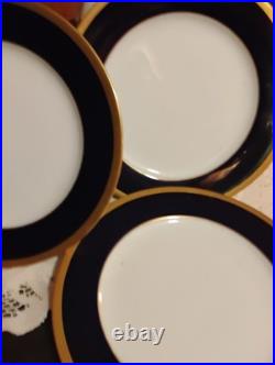 Noritake Valhalla #2799 Bone China Has Glossy Finish Cobalt And Gold Trim 40 Pc