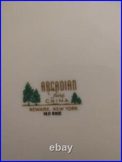 OLD ROSE FINE CHINA SET OF 10 saucers NEWARK NY NY vintage Arcadian gold